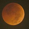 赤銅色に輝く月光　各地で皆既月食