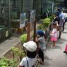 「おかえり」「もう逃げないでね」　サルが脱走した沖縄の動物園が３日ぶりに再開　サルを心配した子どもたちが来園