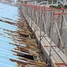 DeNA、台風で損壊したキャンプ地の屋内運動場補修費を寄付　宜野湾市に550万円