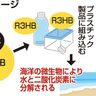 海中分解のプラ原料を開発　沖縄県と甲南化工が特許取得　近海の菌活用