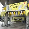沖縄初開催！こだわり酒場のレモンサワー祭り　キンキンに冷えたレモンサワーが待ってます