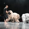 宜野座の獅子舞配信へ　現代芸術「獅子と仁人」　きょうから3日間　拡張現実と融合、ライブで発信