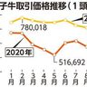 沖縄の子牛価格2カ月連続上昇　平均66万円台　GoToで回復傾向