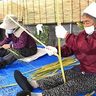 神の島・久高島古来の文化「ガンシナしめ縄」　作り手はイザイホーに参加経験のある島民11人