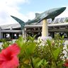 沖縄美ら島財団の収入6割減　コロナで水族館入場者減が要因