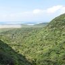【速報】沖縄・奄美、世界自然遺産に　ユネスコ諮問機関が勧告