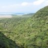 世界自然遺産登録「百年、千年後に引き継ぐ」　沖縄知事、ユネスコ決定受け
