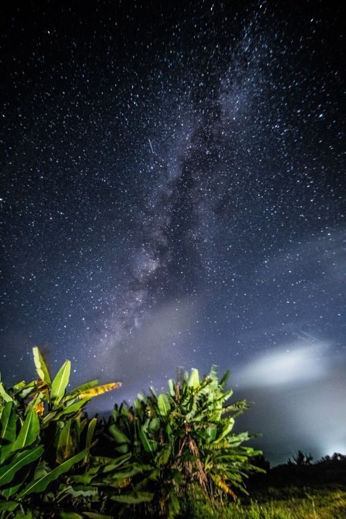 七夕の夜、見上げれば輝く天の川 沖縄・肉眼でも観測 - 琉球新報デジタル