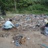 地中からダンプ6台分の廃棄物、飼いネコを捨てに来る人も…危うい共生＜世界自然遺産　宝の森の今＞2