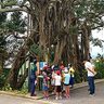 敗戦知らずに2年…「木の上の軍隊」を小学生が追体験　伊江島