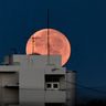 【写真特集】一足早い？「中秋の名月」　明け方、沖縄の水平線に