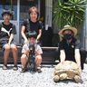 ヤギにリクガメ、ミニブタも♪　動物と触れ合えるパーラーにおいで　店主「子どもたちの遊び場に」　沖縄・豊見城市