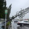 台風11号、沖縄地方を離れる　沖縄本島はきょう6日も激しい雨が降る恐れ