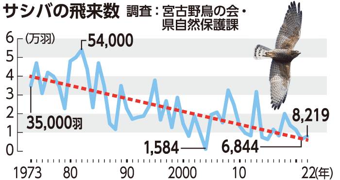 サシバ飛来数、22年は8219羽　前年より増加も減少傾向続く　沖縄県と宮古野鳥の会が調査