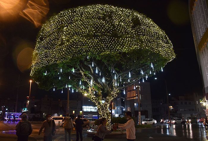 コザの街、ガジュマルの明かりが彩る　ライトアップ始まる　沖縄市