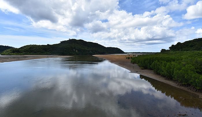 西表島、年間入域観光客数を制限へ　自然遺産保全で観光計画
