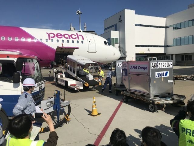 那覇―台北で貨物輸送　ピーチ、旅客機を使用