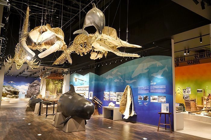 名護博物館搬新家 沖繩北部規模最大 展示約2000件文物