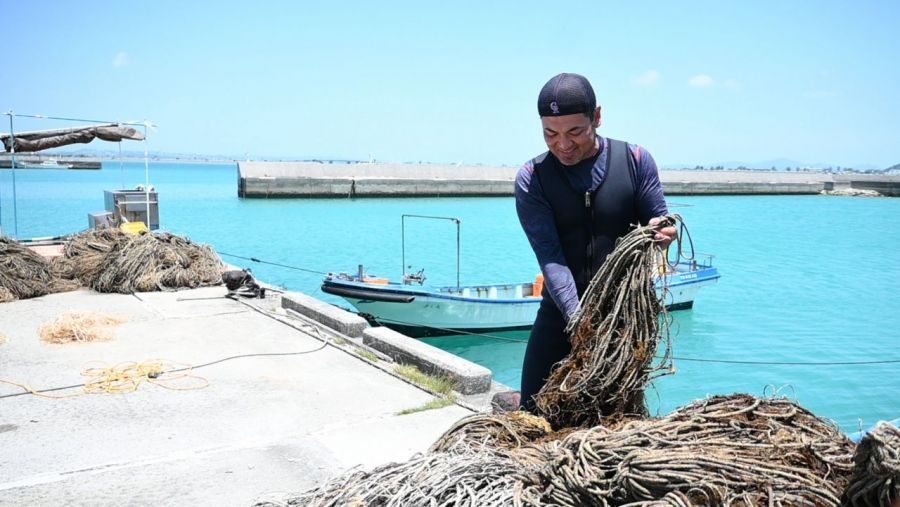 台風2号直撃で養殖モズクに大きな被害　最大産地の勝連漁業、今季の収穫終了に追い込まれる　6月の売り上げゼロ