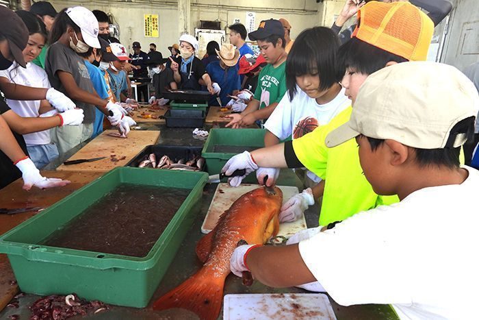 釣って、さばいて、海学ぶ　小5生27人が体験学習　グルクン、ビタロー、アカジンも　沖縄・国頭