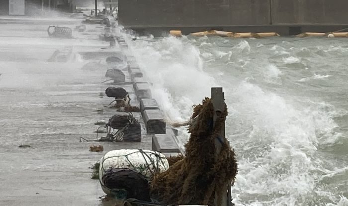 船舶231便が欠航　沖縄と各地結ぶ　4日もすでに65便の欠航決まる　台風6号（3日午前10時現在）