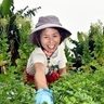 食卓彩る「自然」の味　無農薬栽培を手掛ける知花優子さん