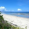 沖縄の浜辺に上陸した〝流れ者〟（その１）　しかたにさんちの自然暮らし（３０）